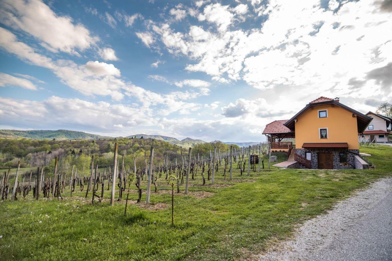Holiday Home Blue Sky Globocice Exterior photo